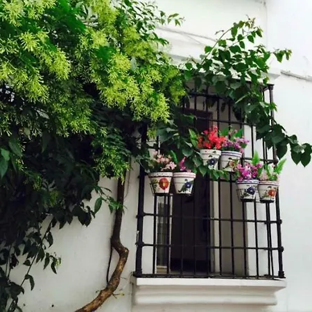 In Old Town Apartment *