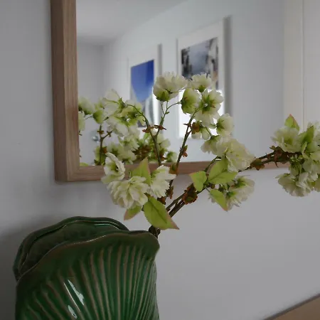 In Old Town Apartment